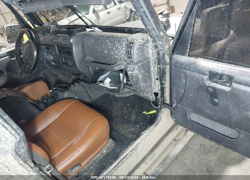 2002 JEEP WRANGLER X VIN: 1J4FA39SX2P750961