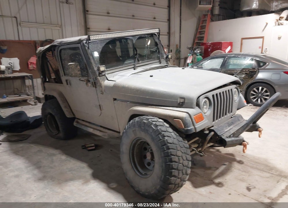 2002 JEEP WRANGLER X VIN: 1J4FA39SX2P750961