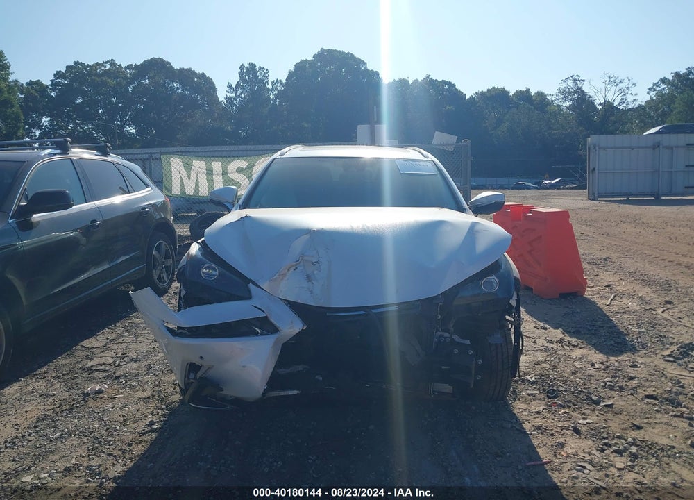 2019 LEXUS NX300 VIN: JTJYARBZ5K2126889