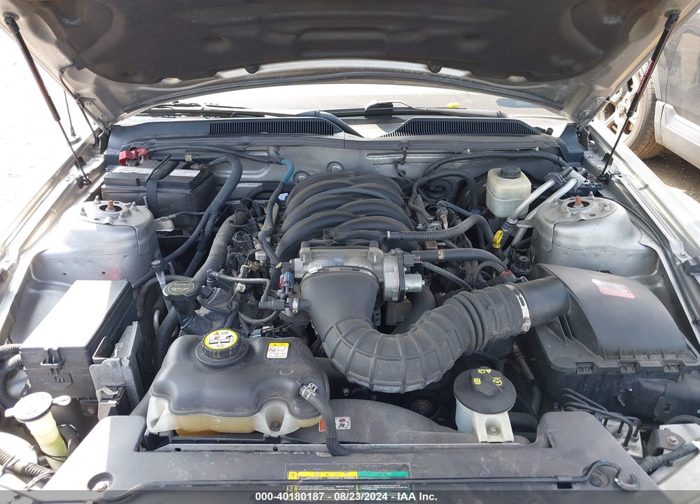 2008 FORD MUSTANG GT DELUXE/GT PREMIUM VIN: 1ZVHT82H885193182