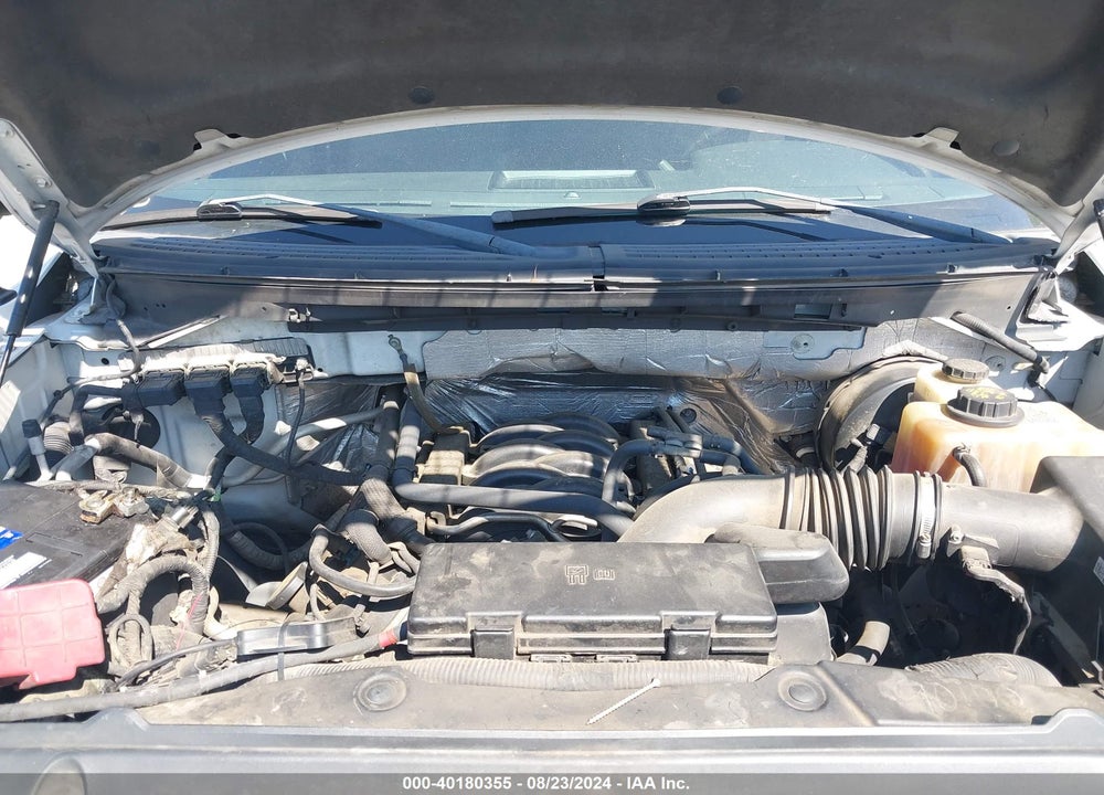 2013 FORD F-150 VIN: 1FTFX1CF0DKE08911