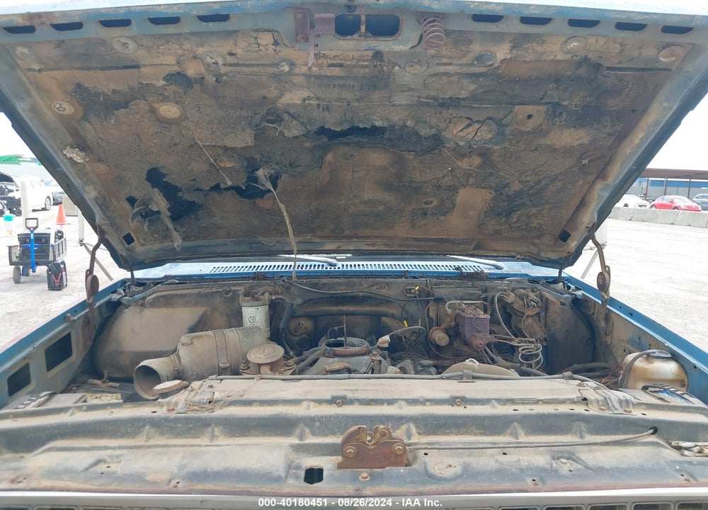 1982 CHEVROLET K20 VIN: 2GCGK24J3C1152094