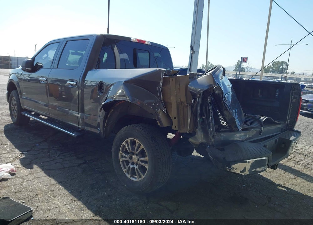 2015 FORD F-150 XLT VIN: 1FTEW1CP6FKE24816