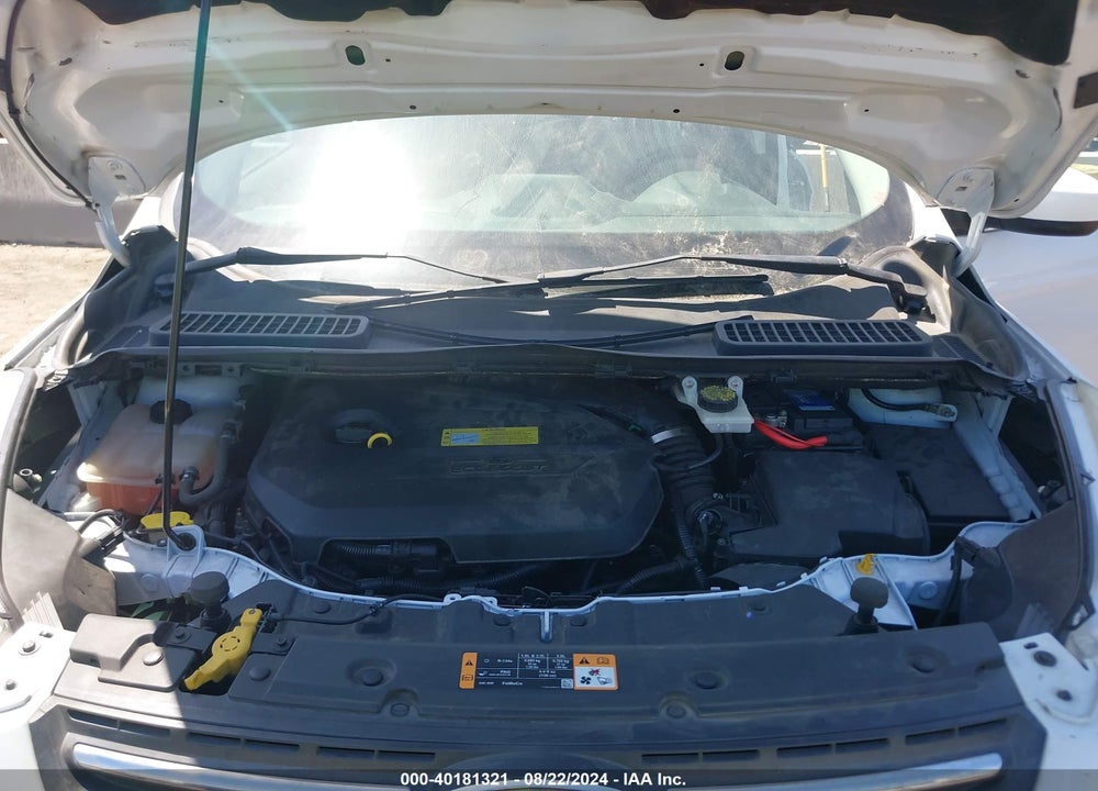 2014 FORD ESCAPE SE VIN: 1FMCU0GX8EUB85110