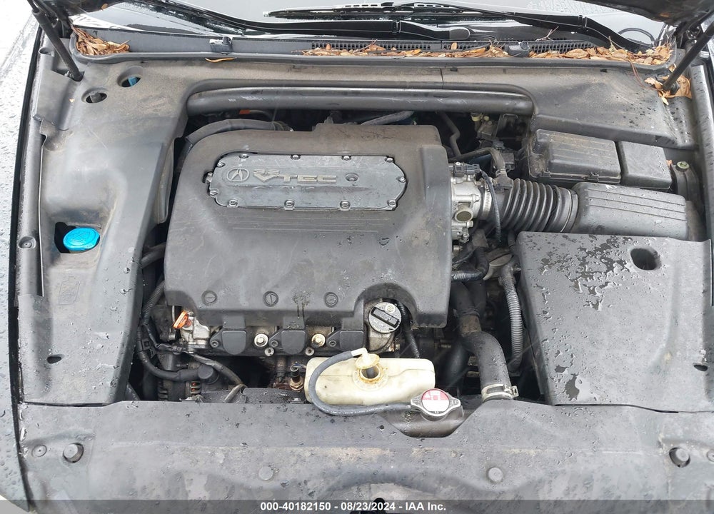 2006 ACURA TL VIN: 19UUA66286A006563