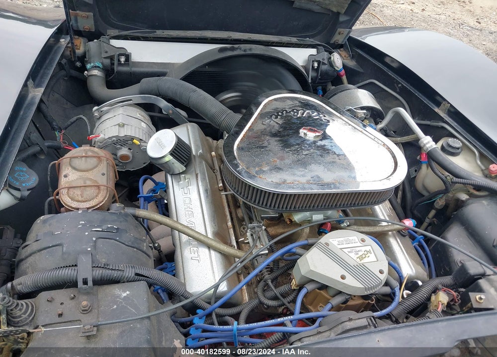 1979 CHEVROLET CORVETTE VIN: 1Z87495408241