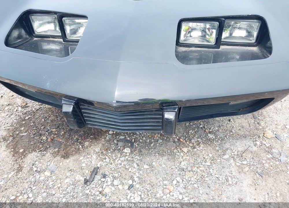 1979 CHEVROLET CORVETTE VIN: 1Z87495408241