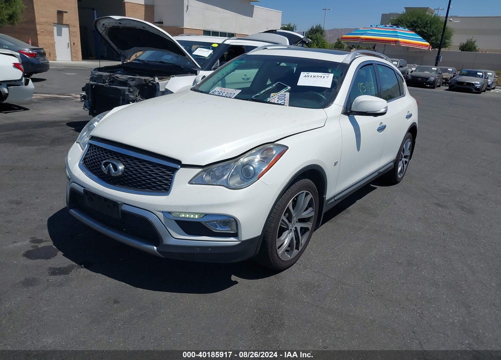 2017 INFINITI QX50 VIN: JN1BJ0RP9HM389041