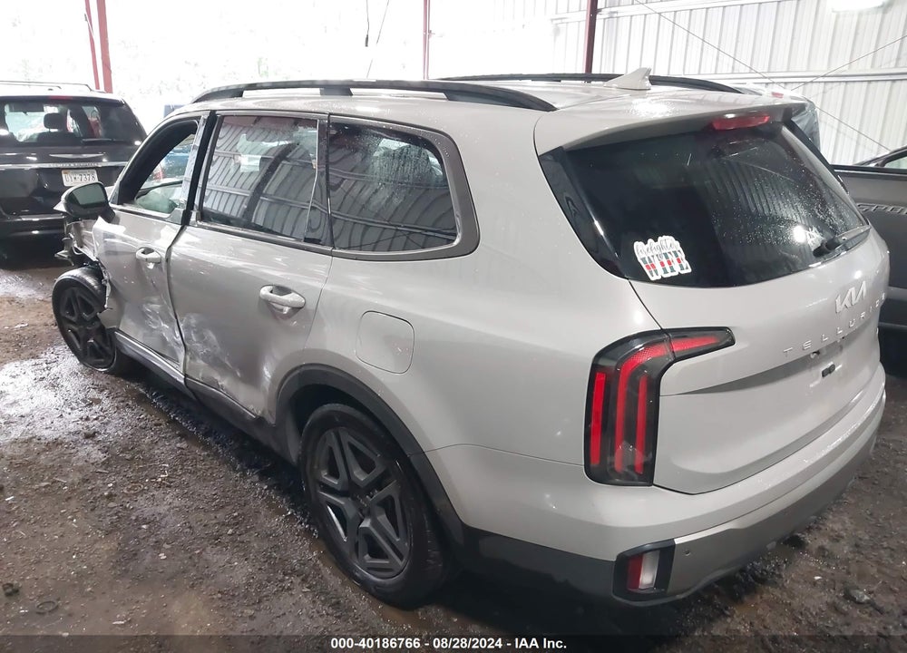 2023 KIA TELLURIDE EX X-LINE VIN: 5XYP3DGCXPG387013