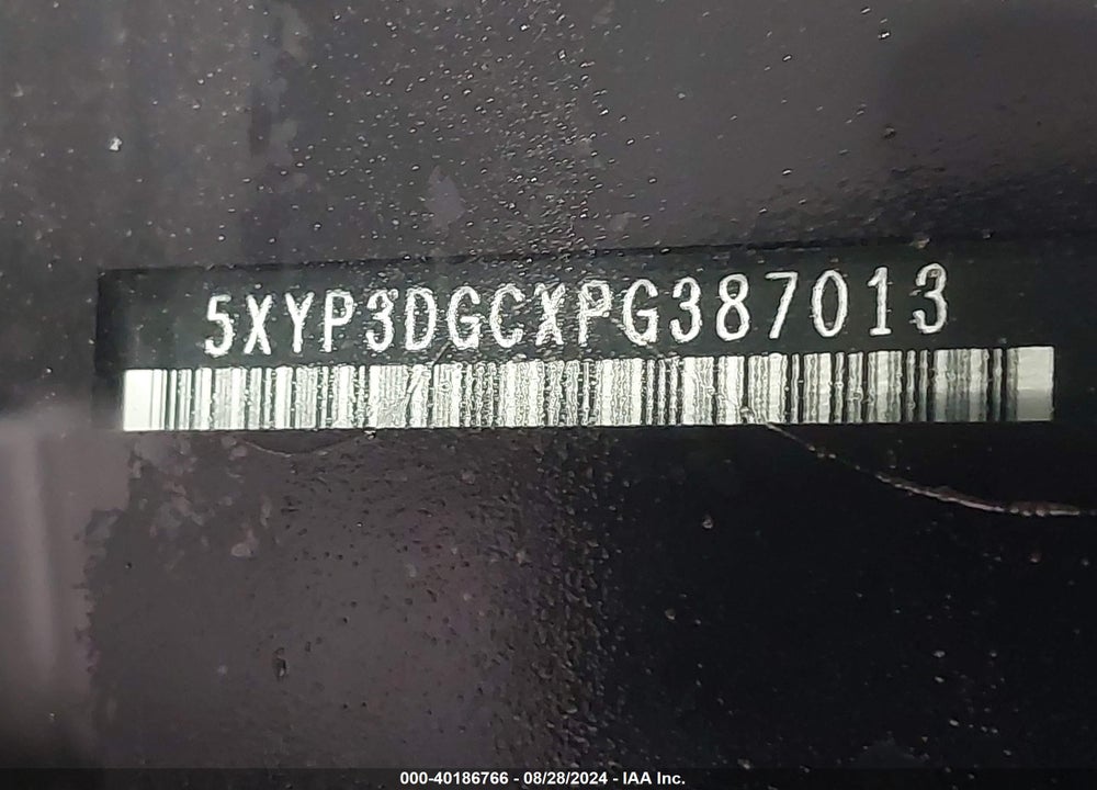 2023 KIA TELLURIDE EX X-LINE VIN: 5XYP3DGCXPG387013