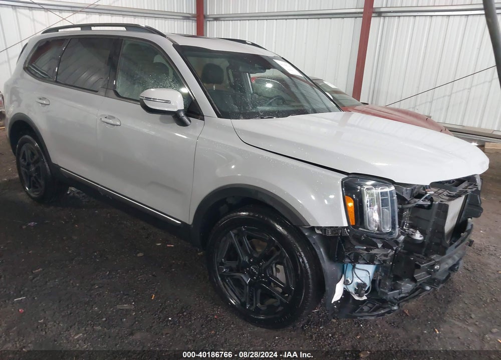2023 KIA TELLURIDE EX X-LINE VIN: 5XYP3DGCXPG387013