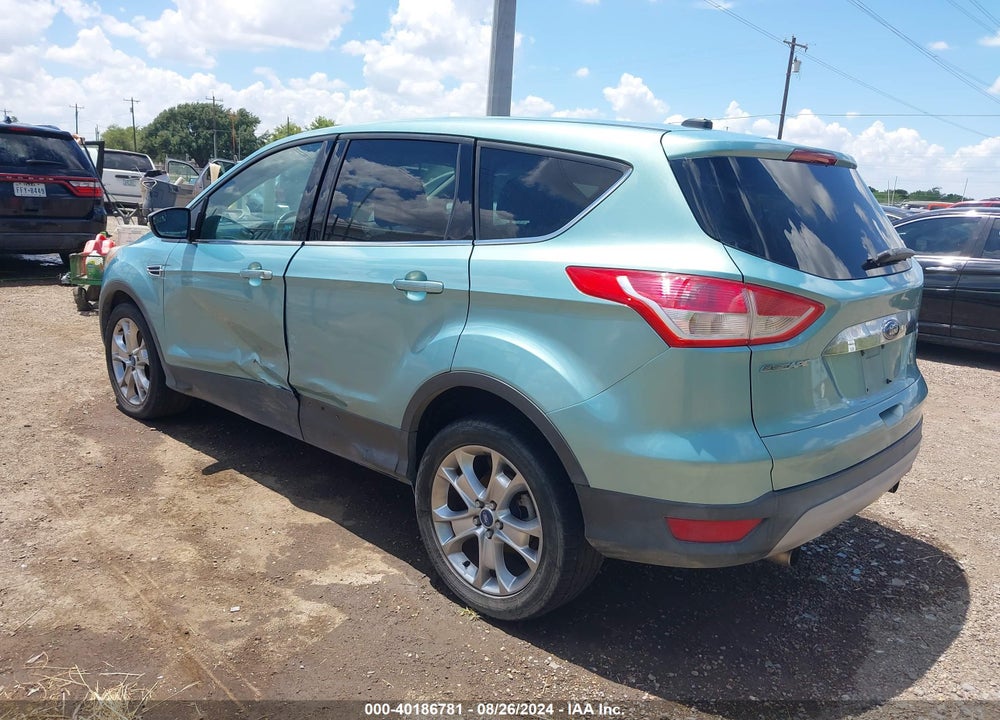2013 FORD ESCAPE SEL VIN: 1FMCU0H97DUD02822