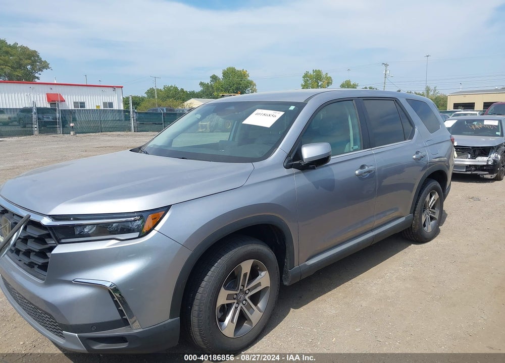 2024 HONDA PILOT AWD EX-L 7 PASSENGER VIN: 5FNYG1H55RB023759