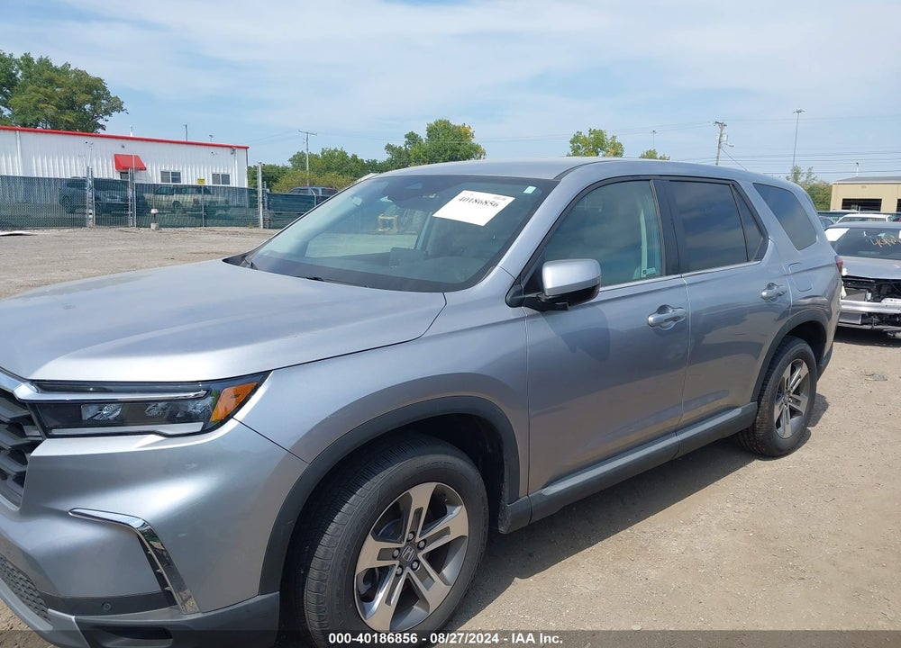 2024 HONDA PILOT AWD EX-L 7 PASSENGER VIN: 5FNYG1H55RB023759