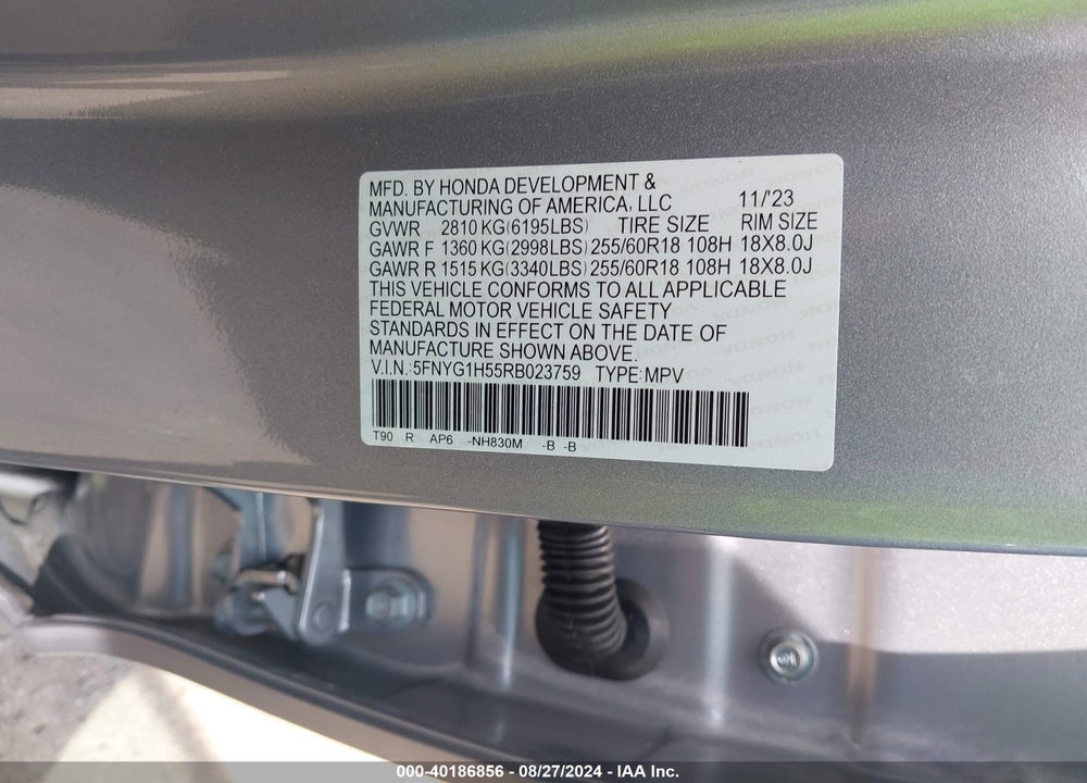 2024 HONDA PILOT AWD EX-L 7 PASSENGER VIN: 5FNYG1H55RB023759