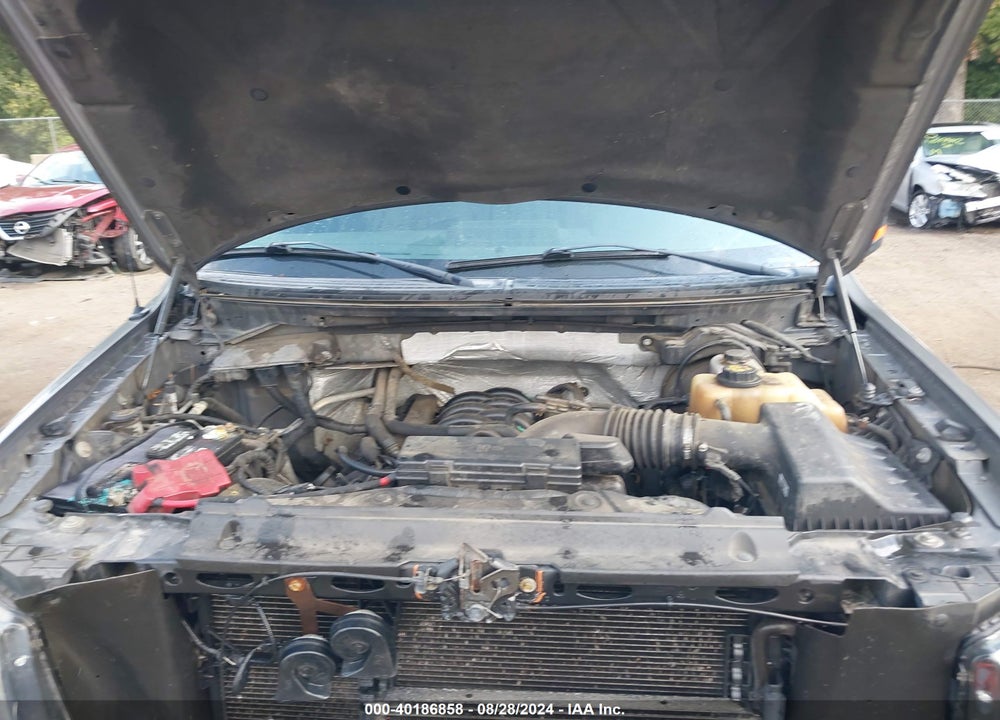 2012 FORD F-150 FX4 VIN: 1FTFW1EF7CKD01918