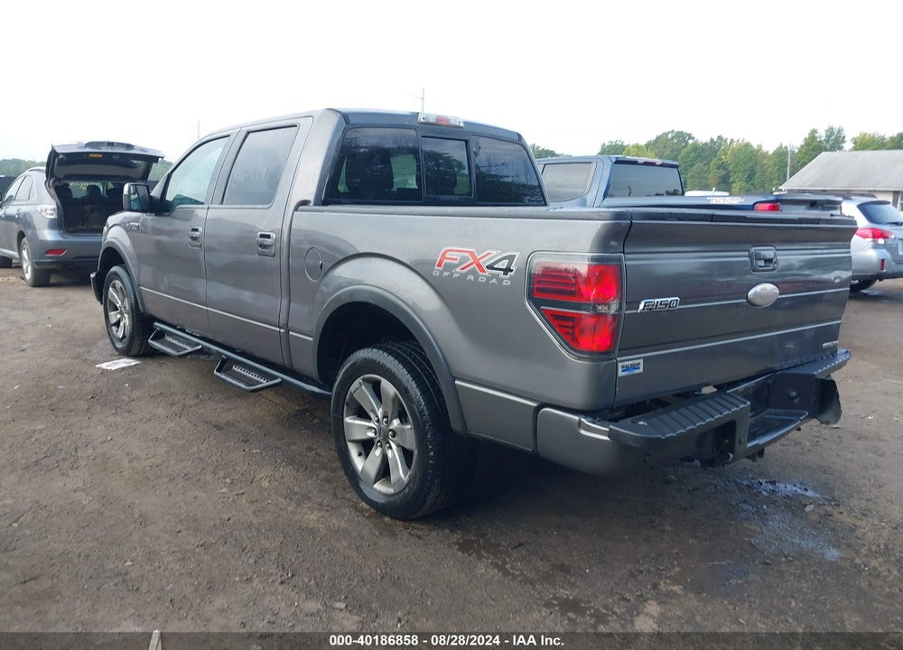 2012 FORD F-150 FX4 VIN: 1FTFW1EF7CKD01918