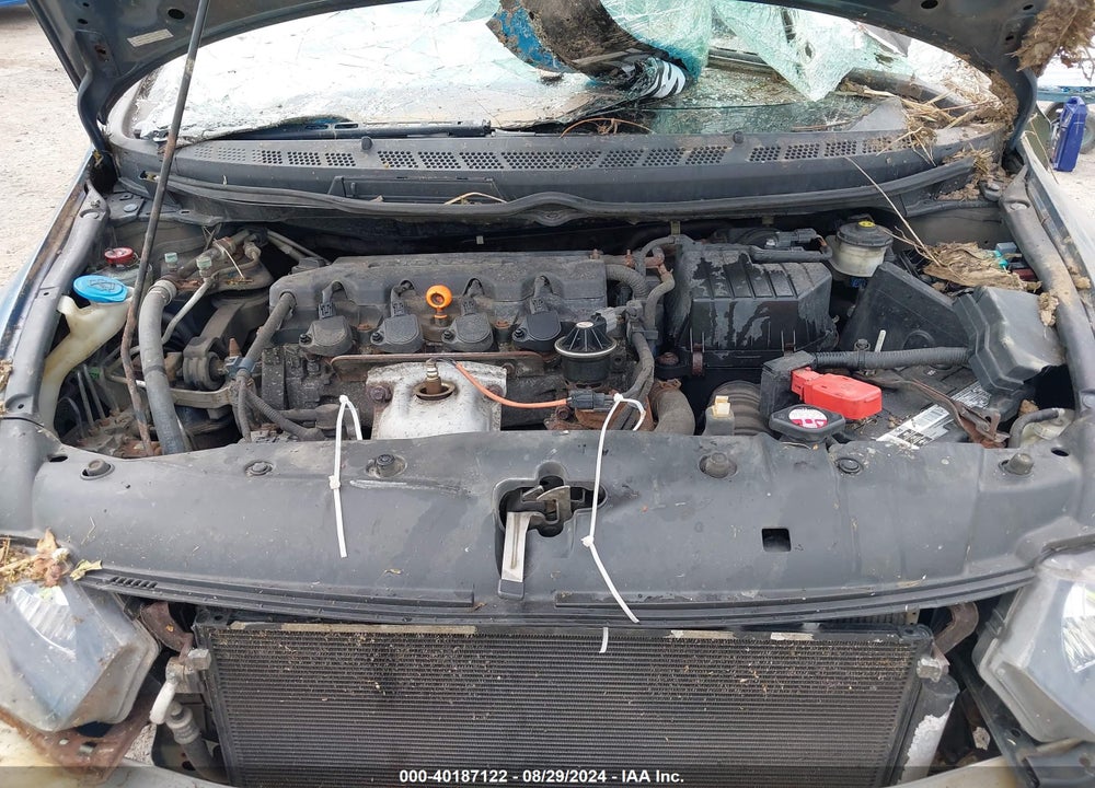 2010 HONDA CIVIC LX VIN: 2HGFG1B67AH519736