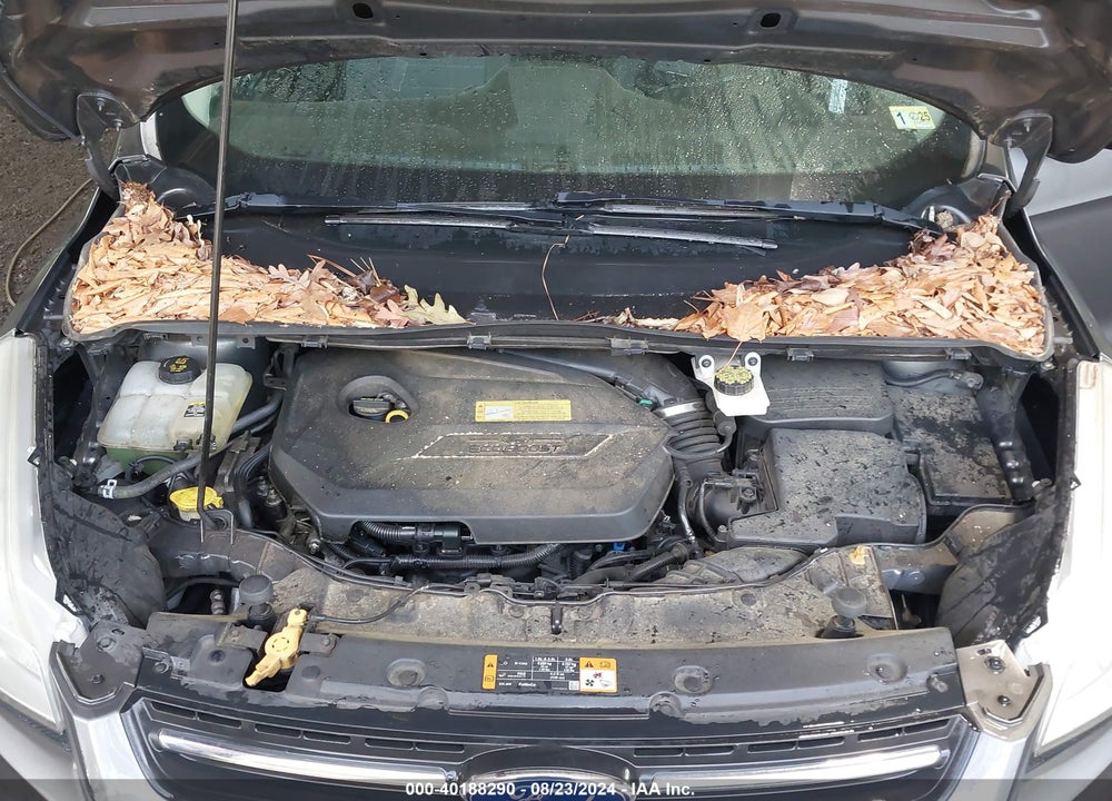 2013 FORD ESCAPE VIN: 1FMCU0GX7DUB21199