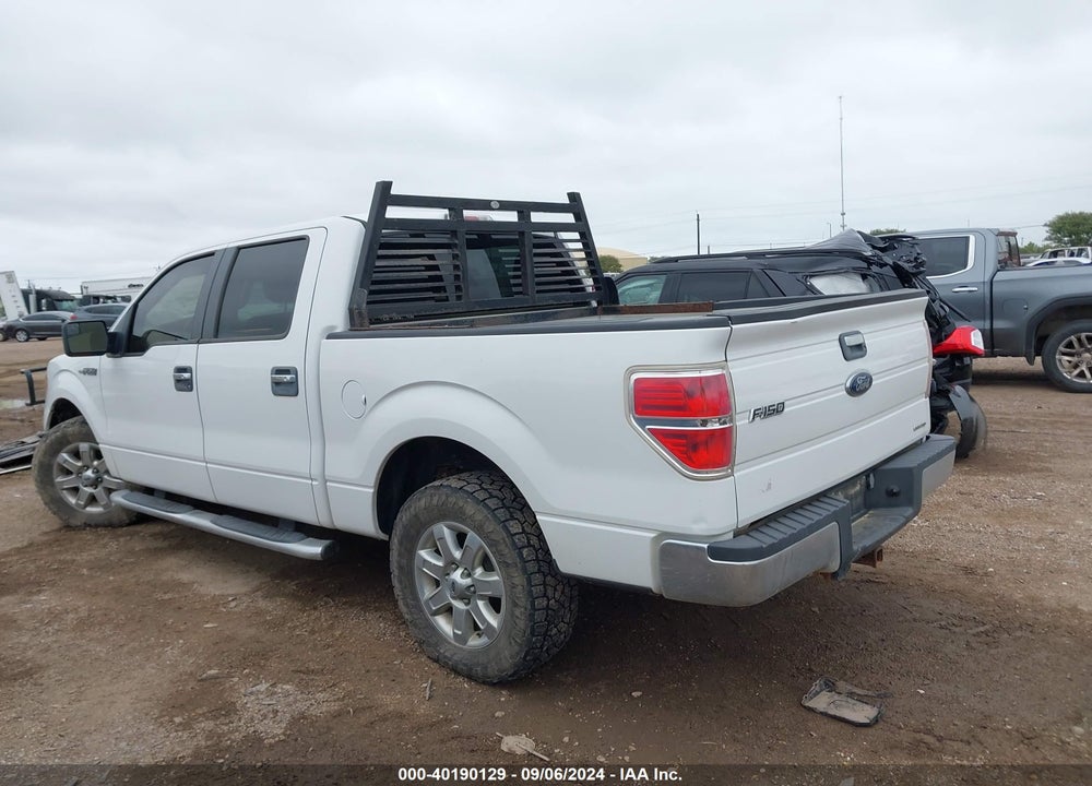 2014 FORD F-150 XLT VIN: 1FTFW1CF2EFD04563
