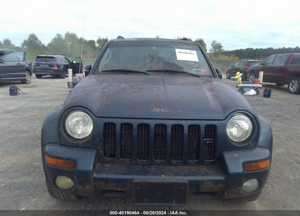 2003 JEEP LIBERTY LIMITED EDITION VIN: 1J4GL58K43W596492