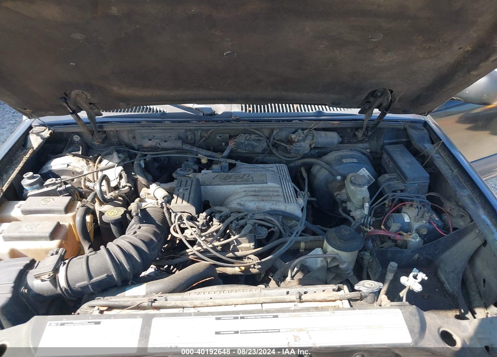1999 MERCURY MOUNTAINEER VIN: 4M2DU52P6XUJ01361