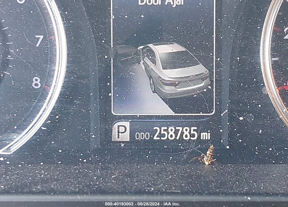 2017 TOYOTA CAMRY SE VIN: 4T1BF1FK1HU341350