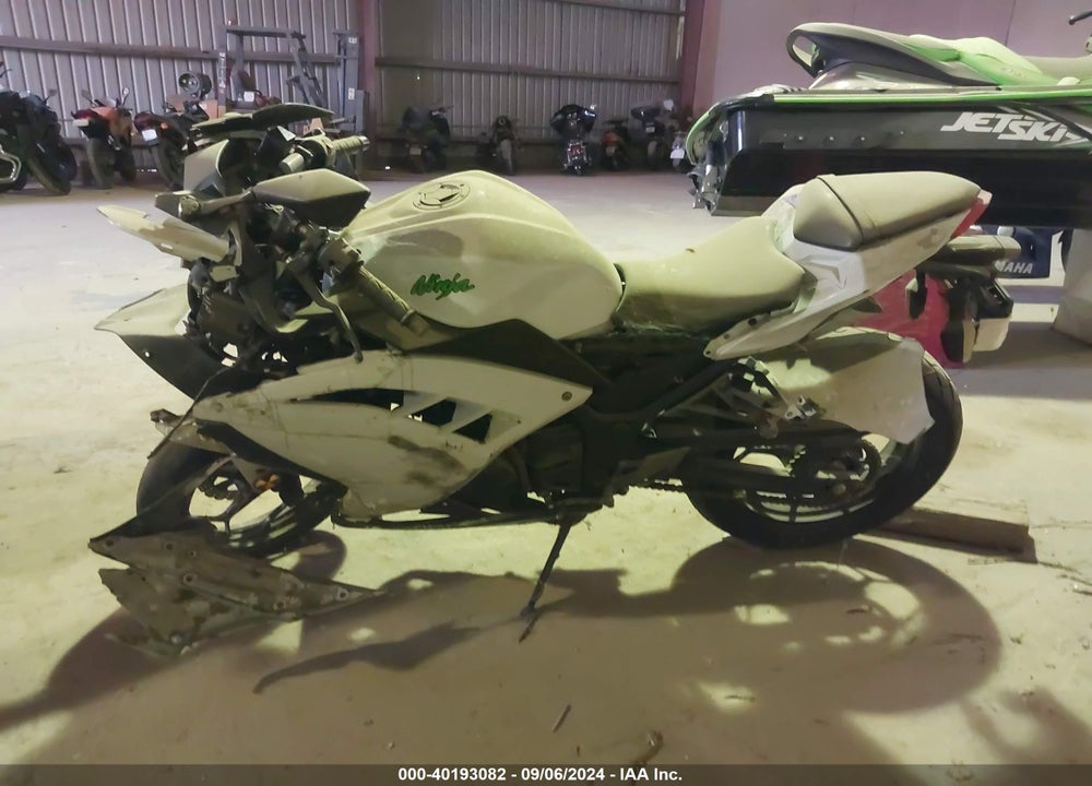 2015 KAWASAKI EX300 VIN: JKAEX8B13FDA19856
