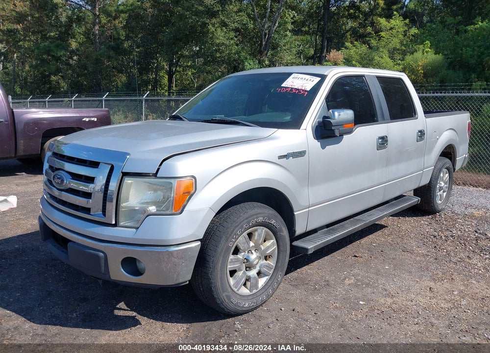 2011 FORD F-150 XLT VIN: 1FTEW1CM8BFC39501