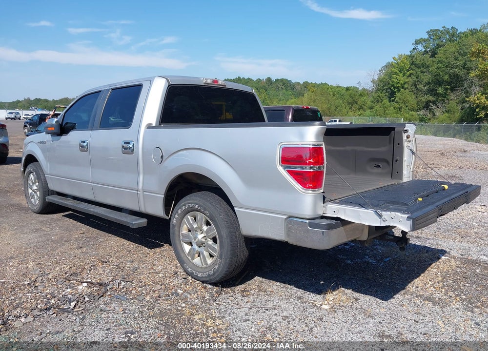 2011 FORD F-150 XLT VIN: 1FTEW1CM8BFC39501