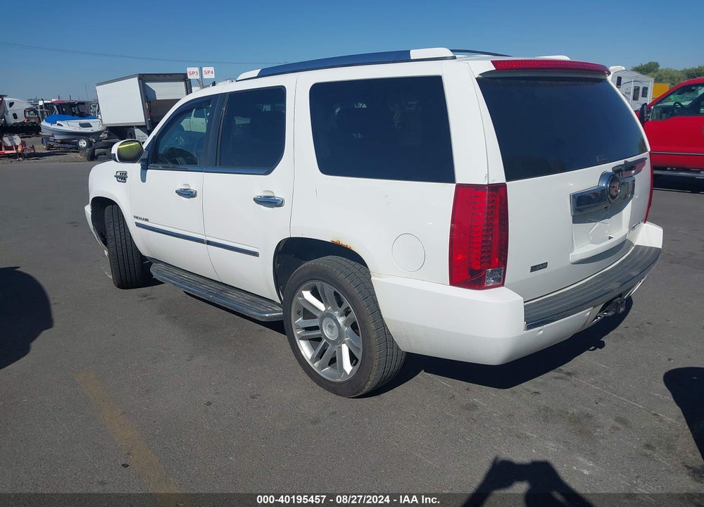 2010 CADILLAC ESCALADE LUXURY VIN: 1GYUKBEF0AR161377