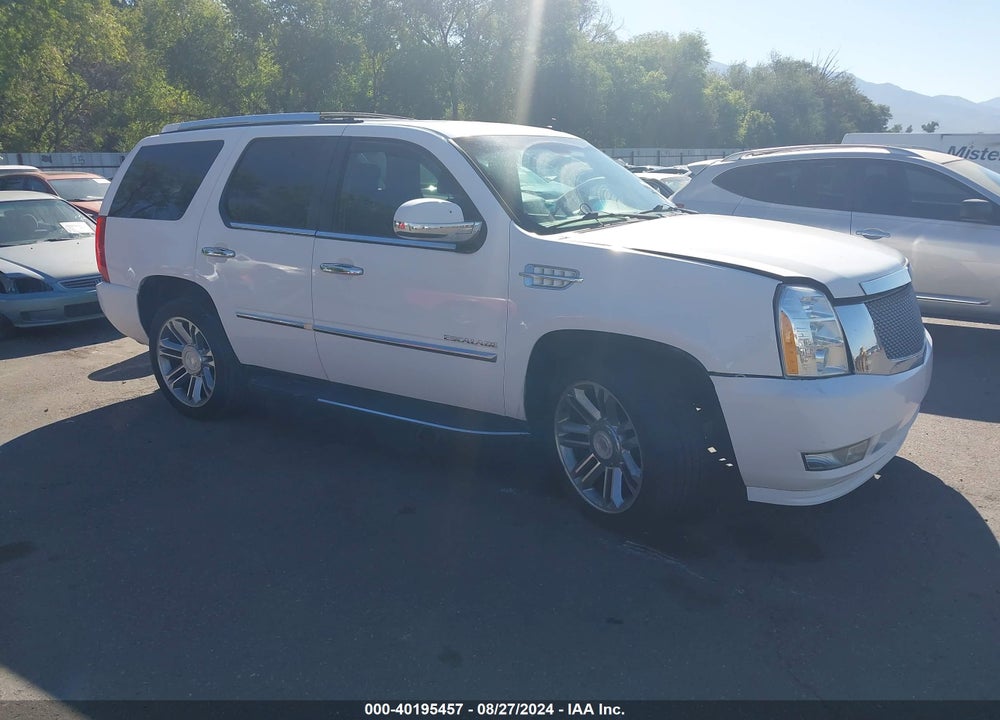 2010 CADILLAC ESCALADE LUXURY VIN: 1GYUKBEF0AR161377