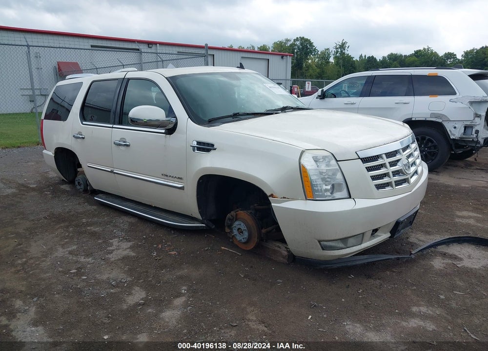 2010 CADILLAC ESCALADE LUXURY VIN: 1GYUKBEF4AR119438