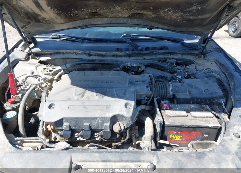 2010 HONDA ACCORD CROSSTOUR EX VIN: 5J6TF1H31AL006982