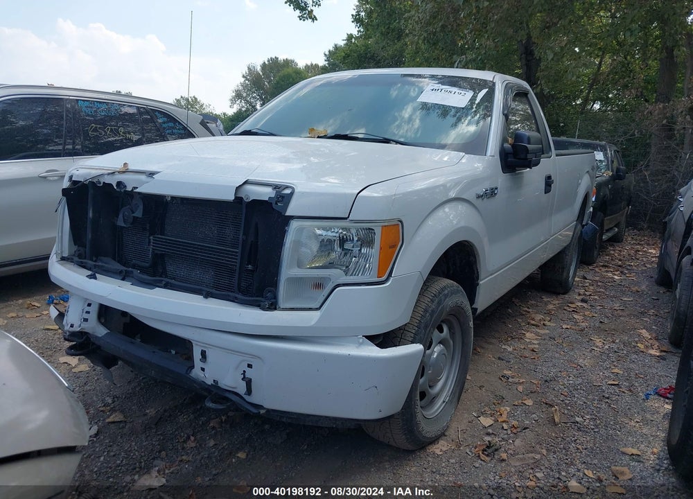2011 FORD F-150 XL VIN: 1FTNF1EFXBKE07869