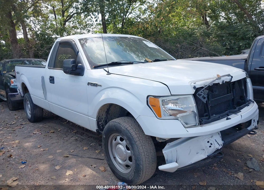 2011 FORD F-150 XL VIN: 1FTNF1EFXBKE07869