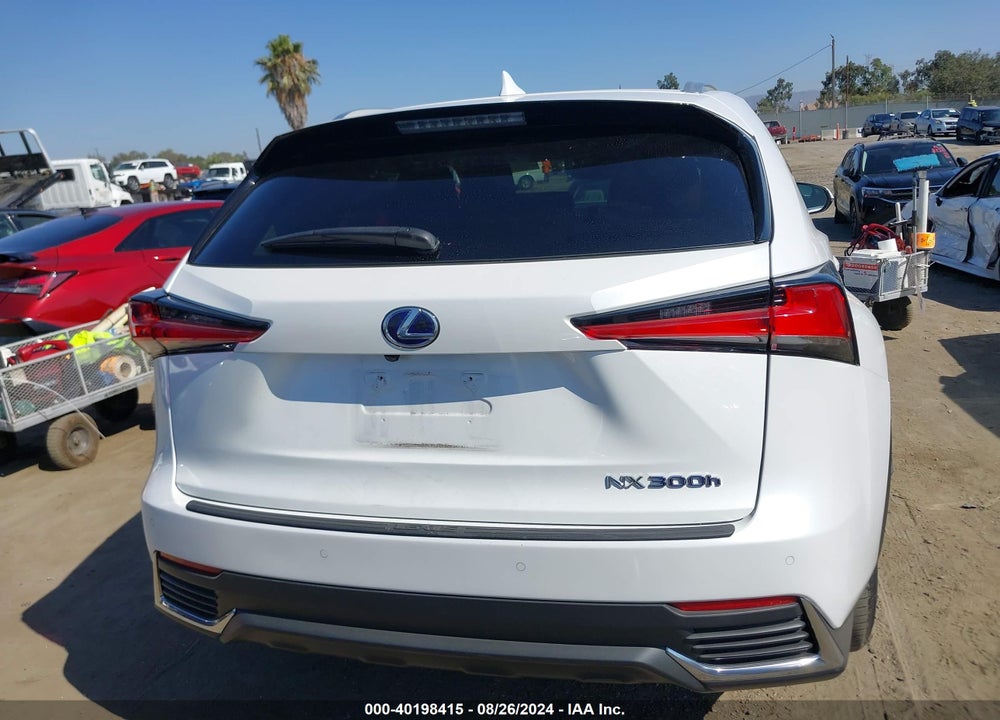 2019 LEXUS NX 300H VIN: JTJBJRBZ6K2110917