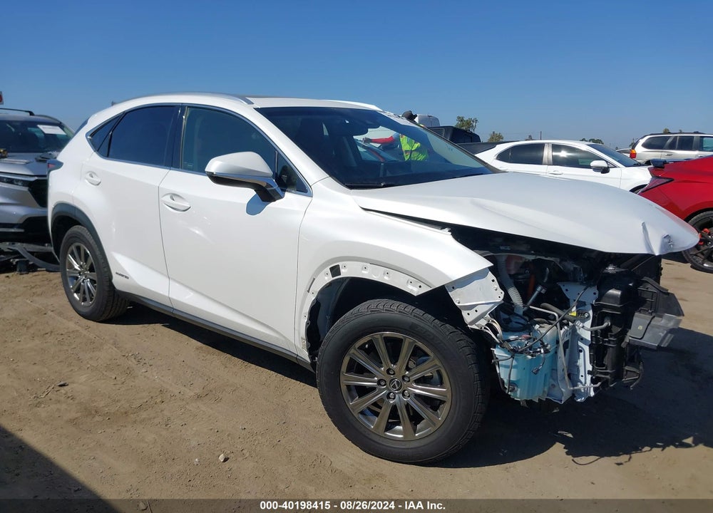 2019 LEXUS NX 300H VIN: JTJBJRBZ6K2110917