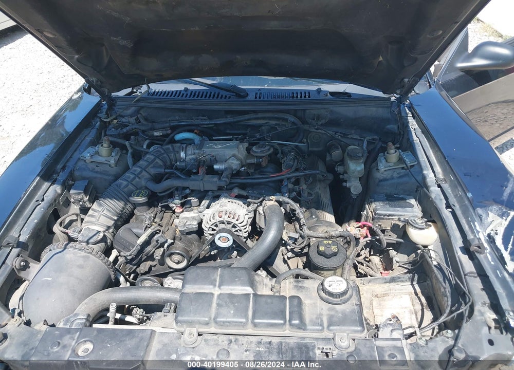 2003 FORD MUSTANG GT VIN: 1FAFP42XX3F370337
