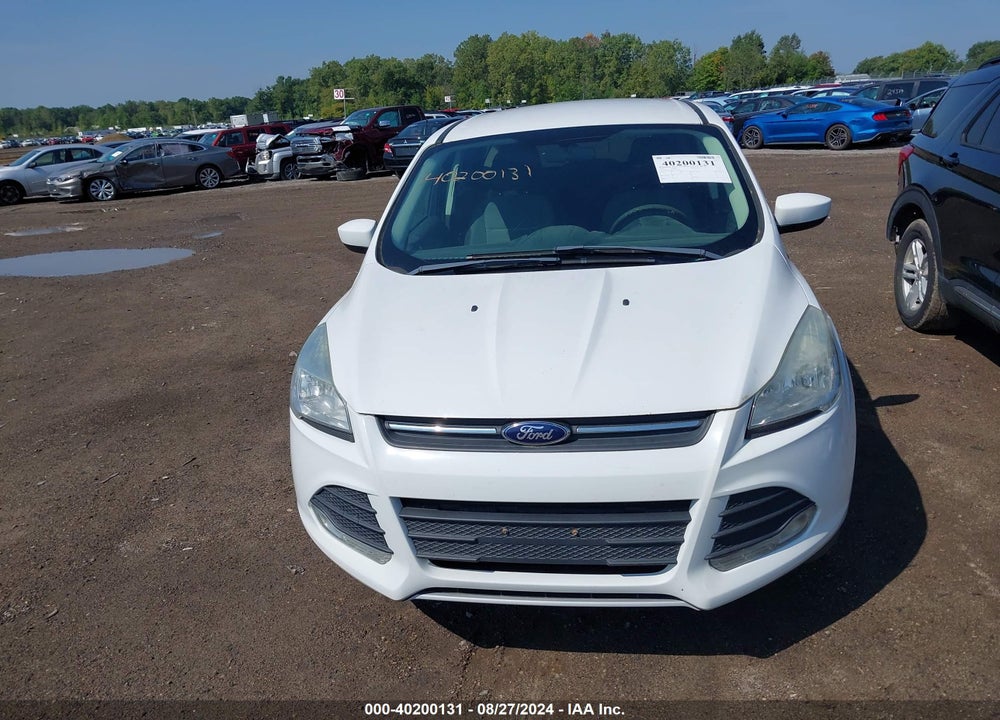 2014 FORD ESCAPE SE VIN: 1FMCU0GX5EUD61109