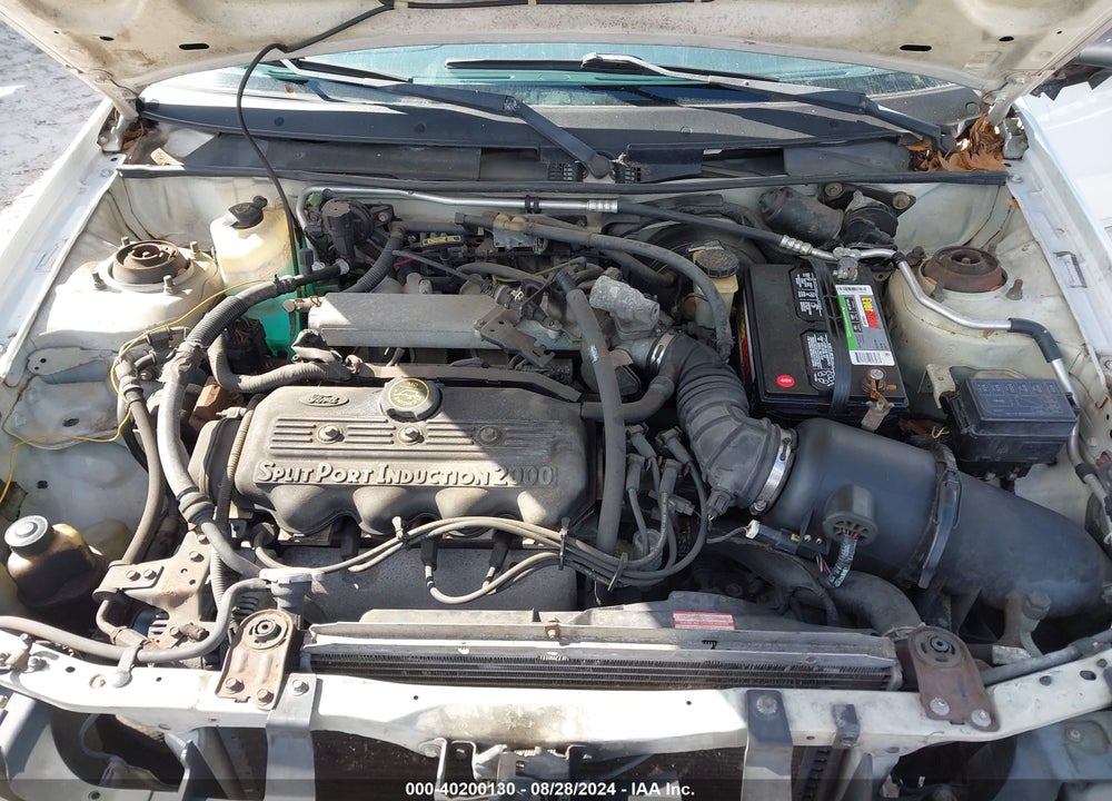 1999 FORD ESCORT SE VIN: 1FAFP13P9XW159052