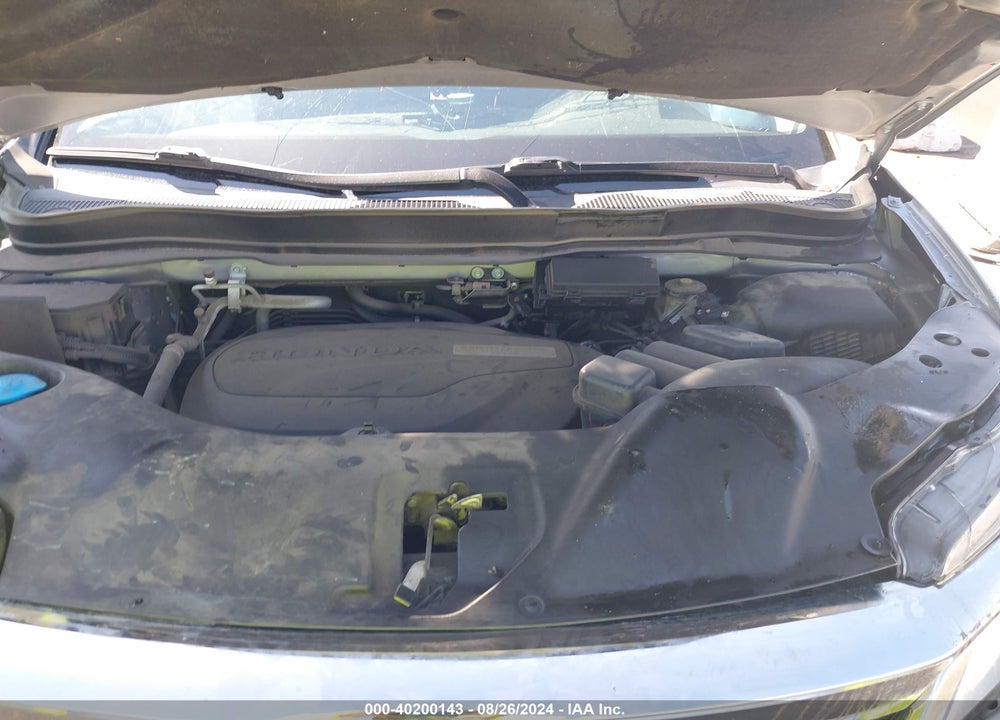 2019 HONDA PILOT ELITE VIN: 5FNYF6H04KB091559
