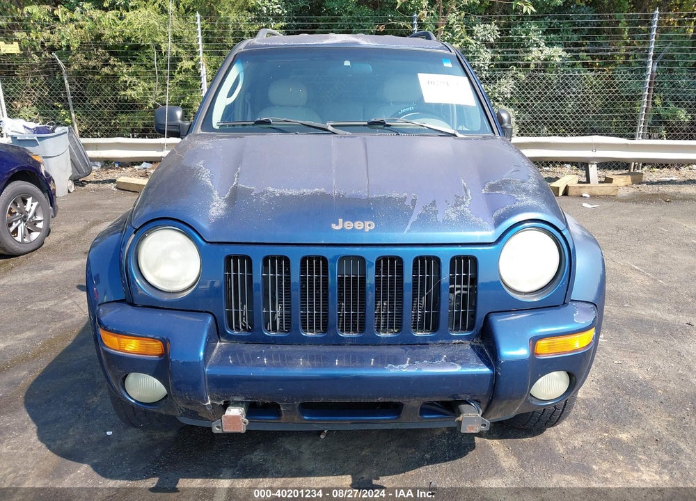 2002 JEEP LIBERTY LIMITED EDITION VIN: 1J8GL58K32W184285