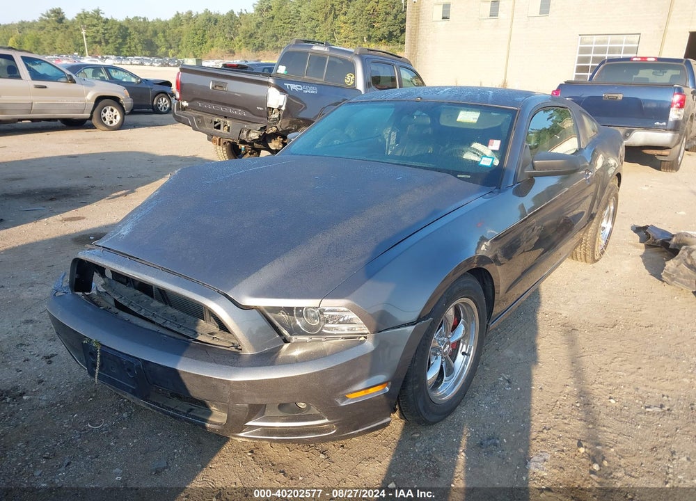 2014 FORD MUSTANG V6 VIN: 1ZVBP8AM8E5288880