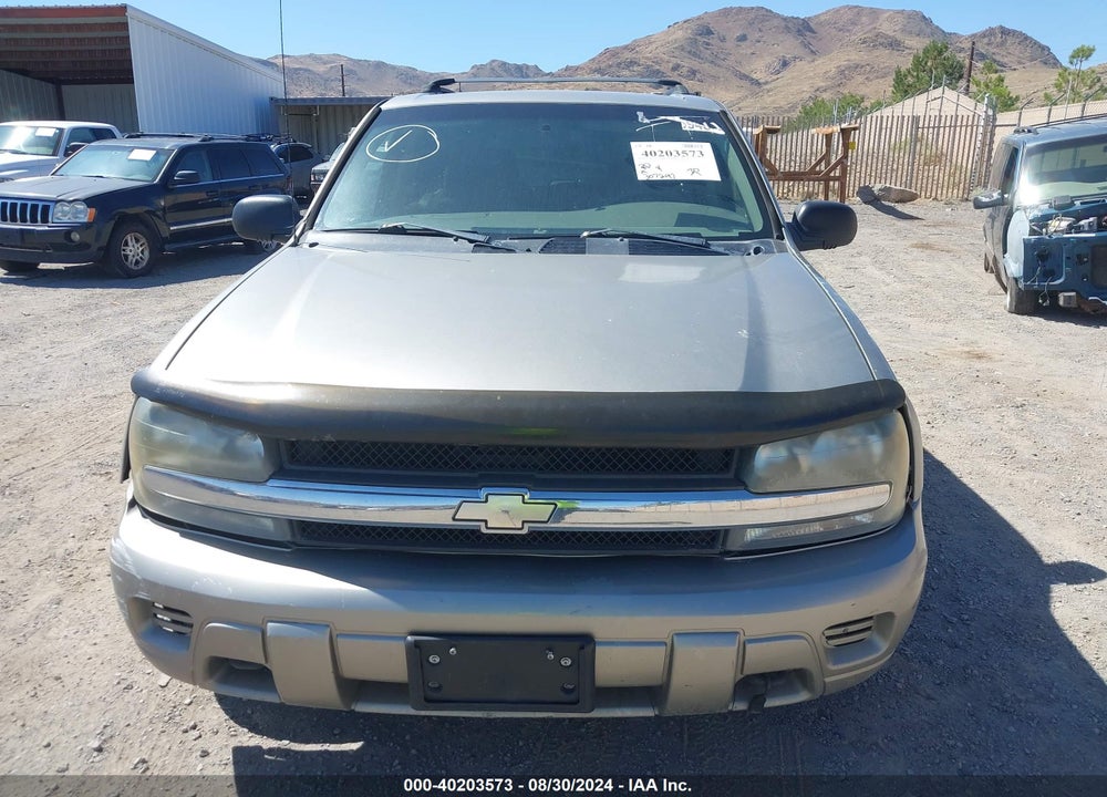 2003 CHEVROLET TRAILBLAZER LS VIN: 1GNDT13S632203342