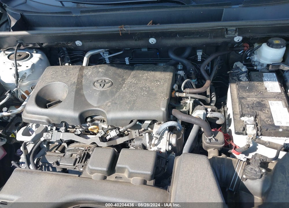 2022 TOYOTA RAV4 XLE VIN: 2T3P1RFV5NW273456
