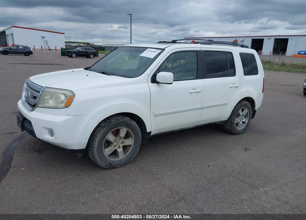 2011 HONDA PILOT EX-L VIN: 5FNYF4H58BB005959