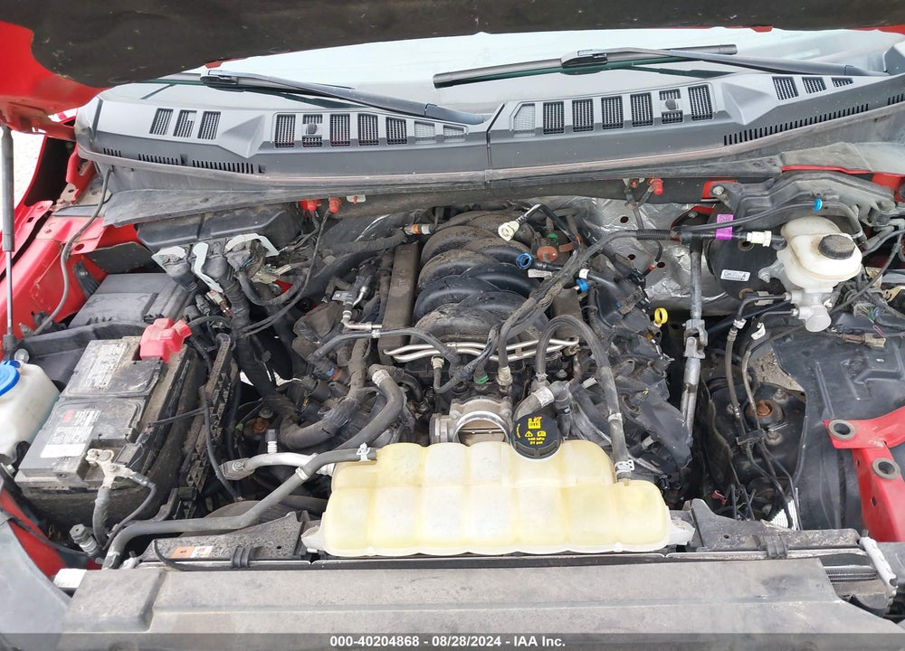 2019 FORD F-150 XLT VIN: 1FTEW1E5XKFD11224