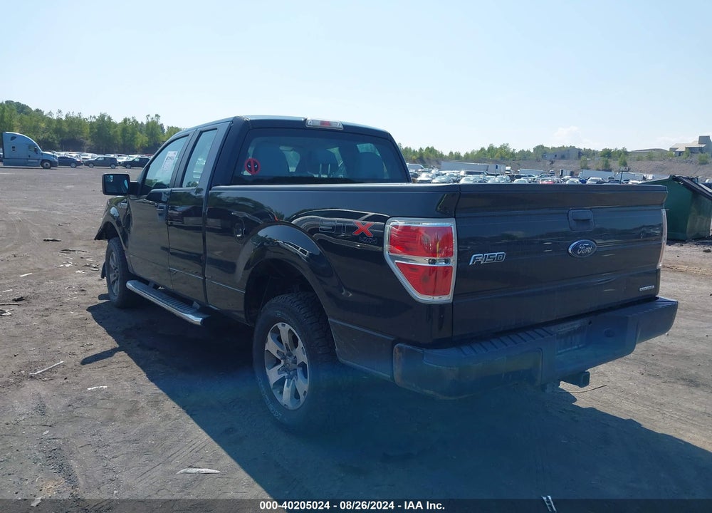 2013 FORD F-150 STX VIN: 1FTFX1EF8DFC53059