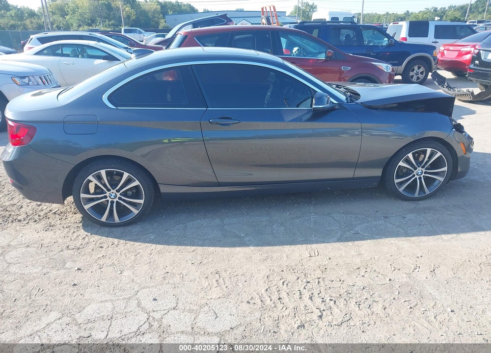 2016 BMW 228I XDRIVE VIN: WBA1G9C52GV599280